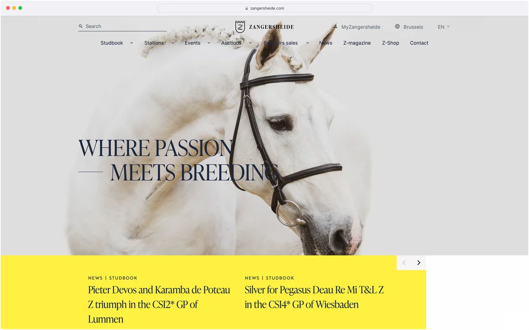 Zangersheide.com