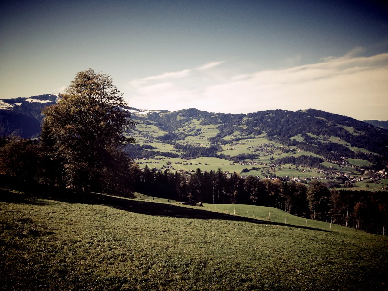 Landschaft Landschaft