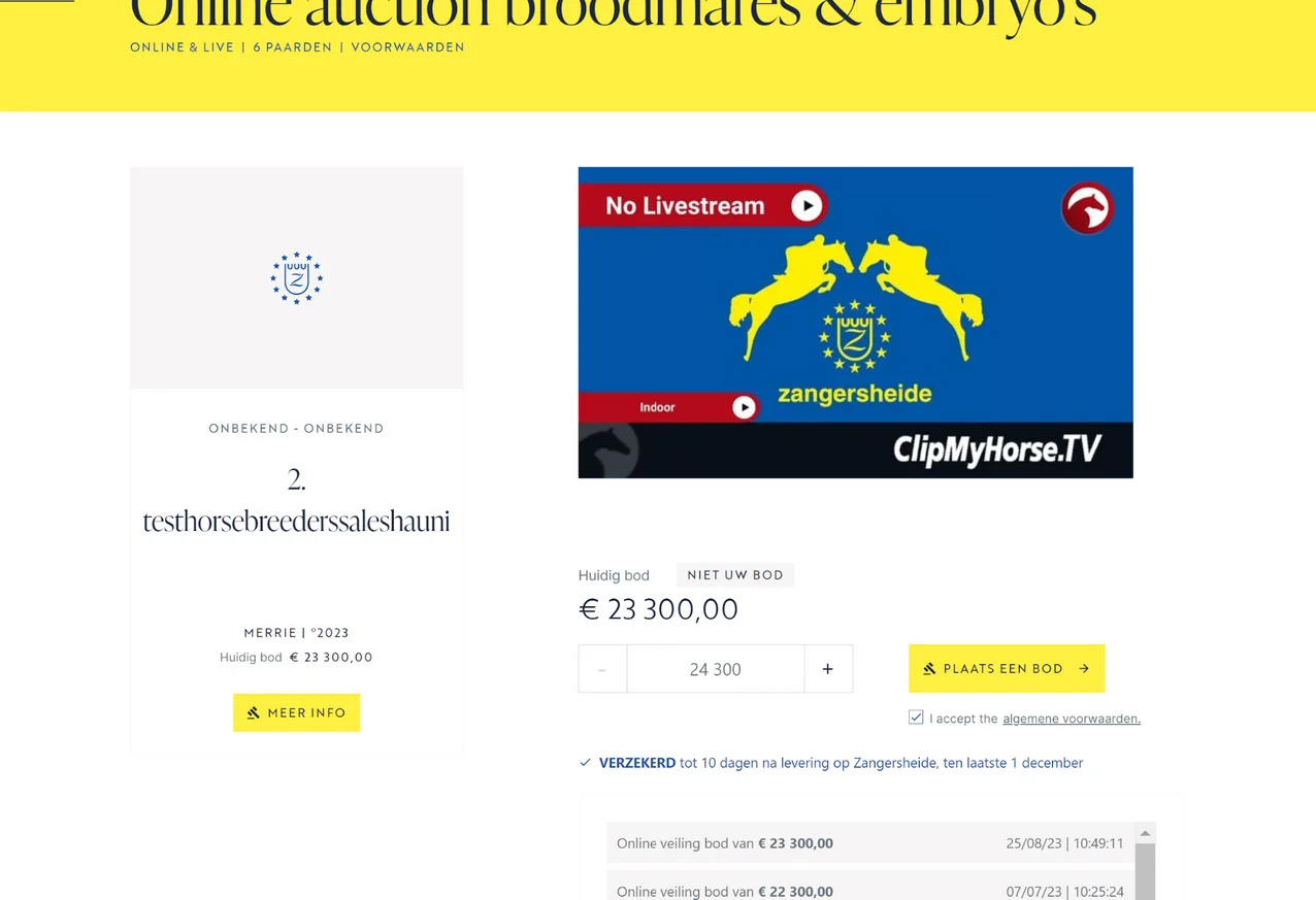 The live auction frontend The live auction frontend